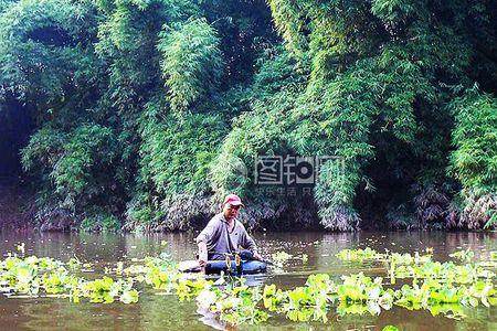 川条子最佳钓法