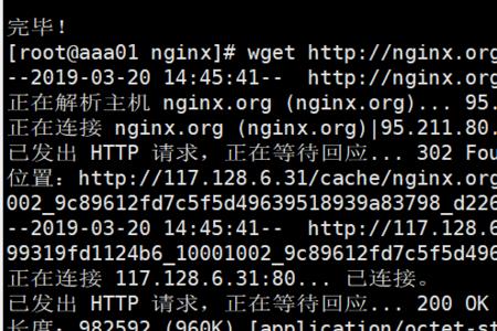 nginx打开网页不显示而是直接下载