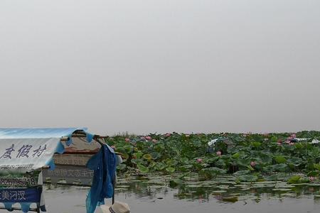 汈汊湖水质