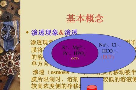 渗透平衡时还有渗透作用吗