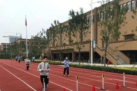 小学耐力训练有哪些项目