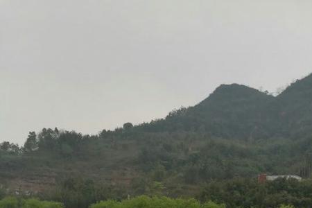 泸州花田酒地最佳时间