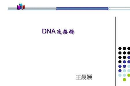 DNA连接酶可以连接氢键吗