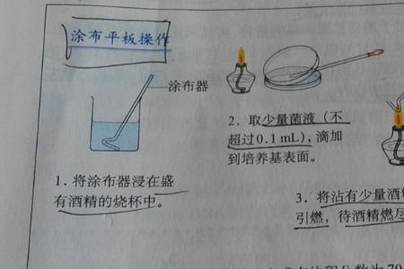 稀释涂布平板法计算公式