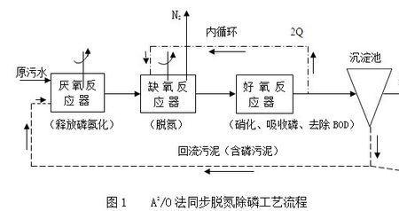 氨化是一种怎样的过程