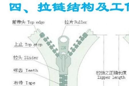 拉链什么时候传入中国