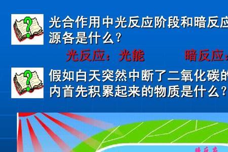 光合作用色素和酶的分布