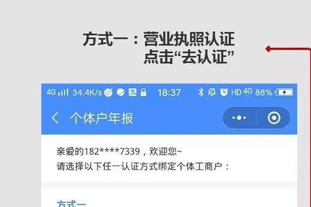 小作坊年报怎么报