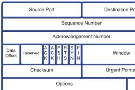 tcp发送数据包过程