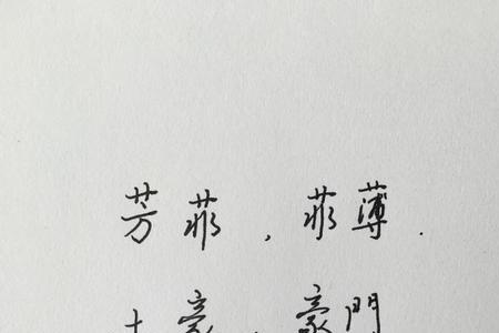 索前面加一字组词