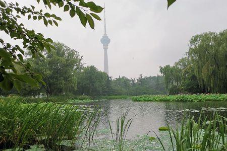 淅淅沥沥可以形容大雨吗