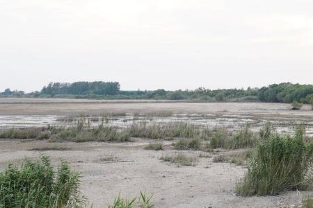 扬子湖面积