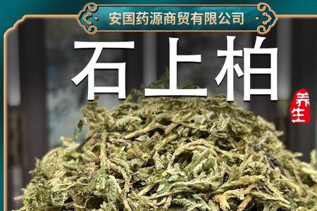 石上柏种植技术