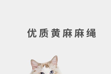 给猫剪了指甲还需要猫抓板吗