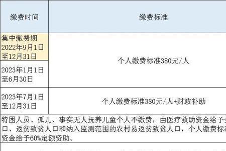 洛阳市2023年居民医保缴费多少