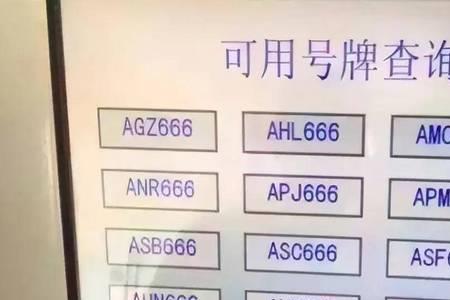 自编车牌号可以纯数字吗