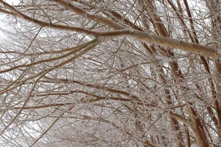 面如霜下雪吻如雪上霜什么意思