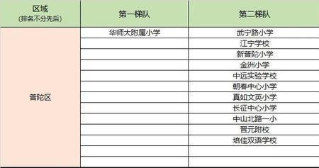 闵行中心小学是第几梯队