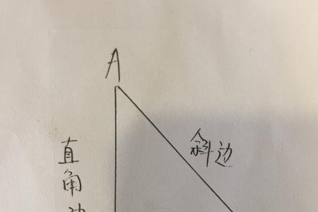 三角形为什么斜边最长