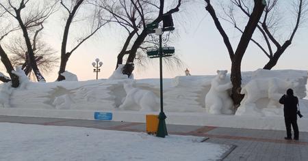 冰雪伶俐什么意思