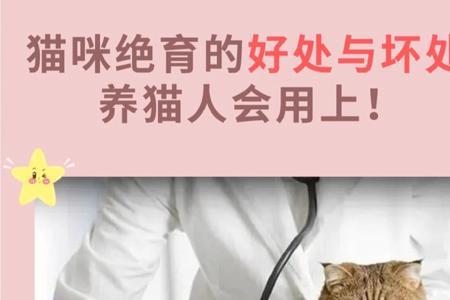 70岁以上养猫的危害