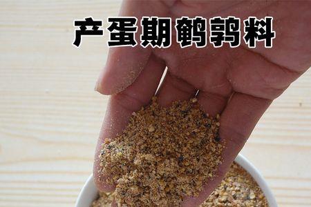 刚孵化的鹌鹑可以喂鱼饲料吗