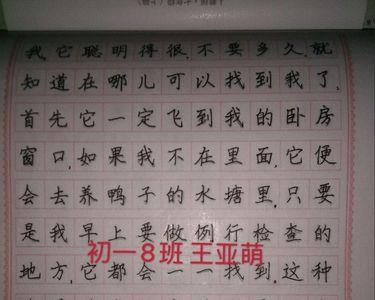 适合初一学生练习的字体