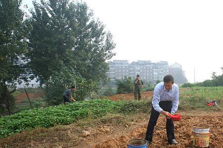 开垦荒地还是开辟荒地