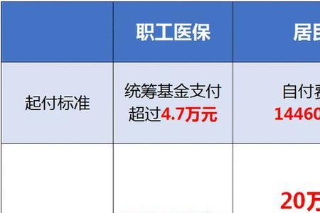 医保金当年账户缴额啥意思