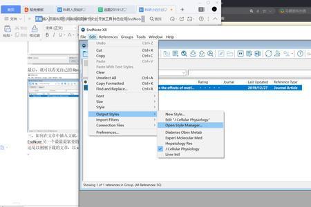endnote如何设置一个style