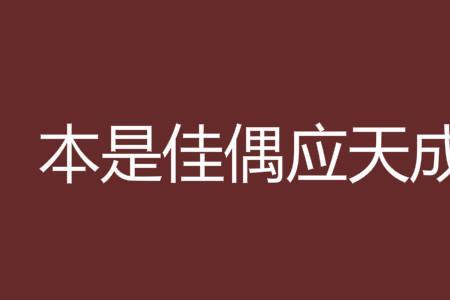 天成佳偶是知音这首诗的释义