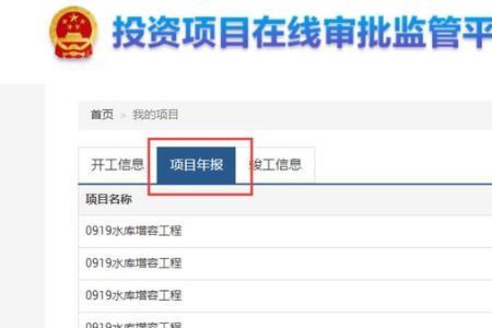 什么是项目单位