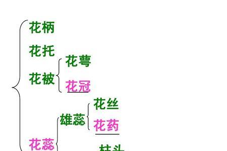 植物生长晶是哪些原料构成的