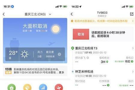 重庆航班大面积取消原因