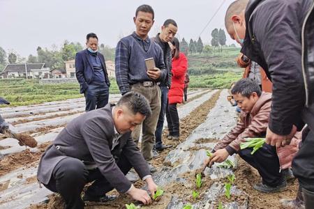 遵义哪里能学农机驾驶证