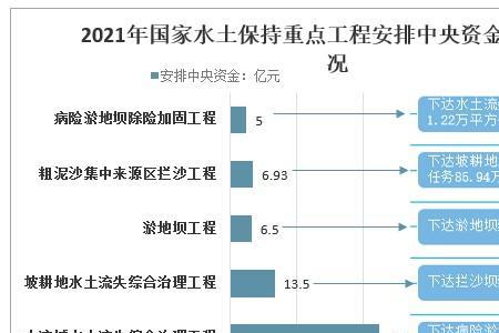 国家重点工程是什么意思