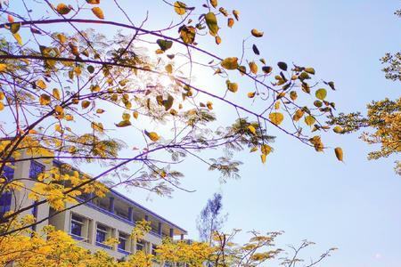 能进福建农林大学么