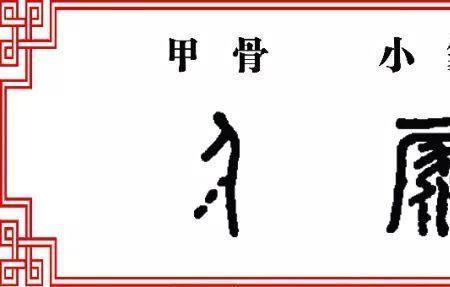 嫋里面有多少汉字