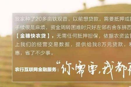 惠农e贷可以取现吗