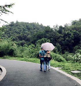 雨中漫步是什么含义