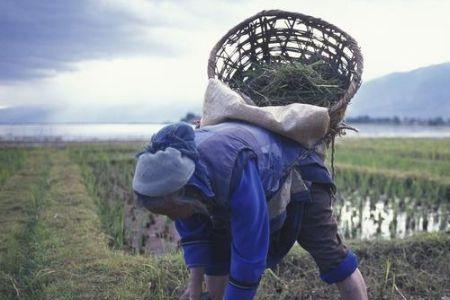 日本65岁的农民一个月多少工资