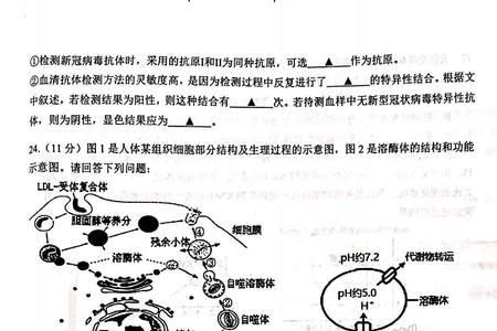 江苏徐州生物是什么版本教材