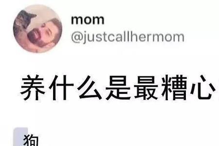 他说什么配不配的什么意思