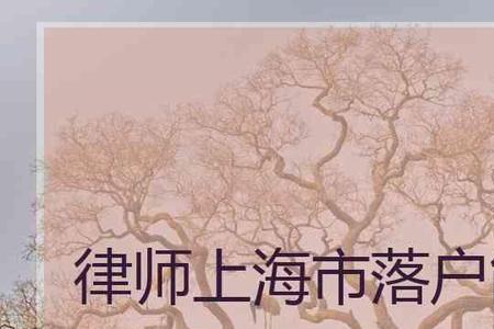 律师可以按人才落户吗