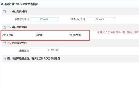 个人医保网上无法缴费是啥原因