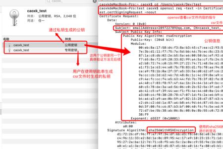 密码中的特殊字符包含哪些