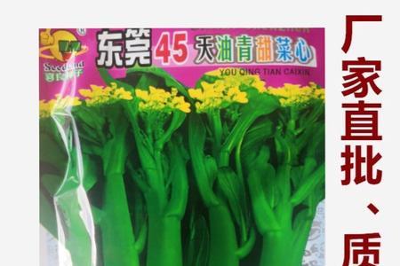 阳光80油菜种子好吗