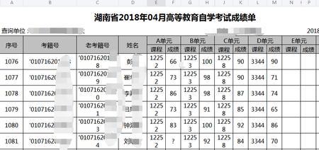 自考查出来是最终成绩吗