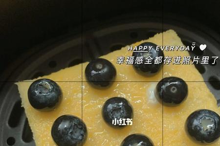 空气炸锅能烤蓝莓干吗