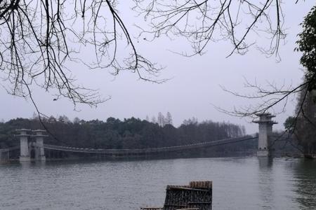 东湖落雁岛能带宠物吗